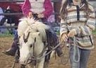 Crossbred Pony - Horse for Sale in Slaughter, LA 70777 Crossbred Pony - Horse for Sale in Slaughter, LA 70777