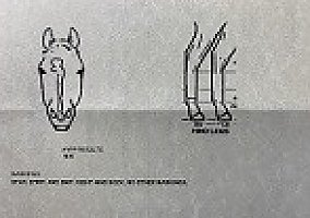 Quarter Horse (Quarter Horse, Gelding) in Madison, AL