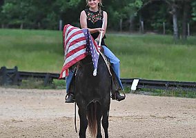 Quarter Horse (Quarter Horse, Gelding) in Los Angeles, CA