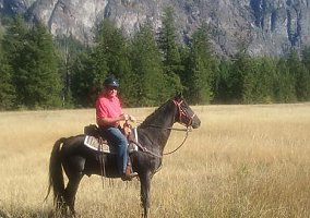 Saddlebred (Saddlebred, Gelding) in La Conner, WA