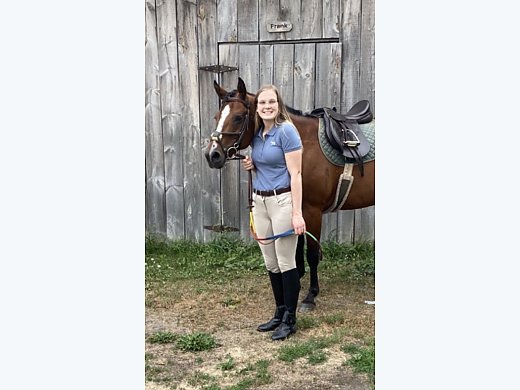 15 Y/O Mare for Sale