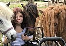 Miniature - Horse for Sale in Valrico, FL 33594