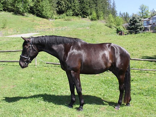 Tall, Dark and Handsome