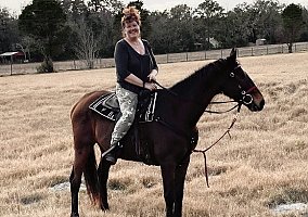 Gelding (Thoroughbred, Gelding) in Trenton, FL