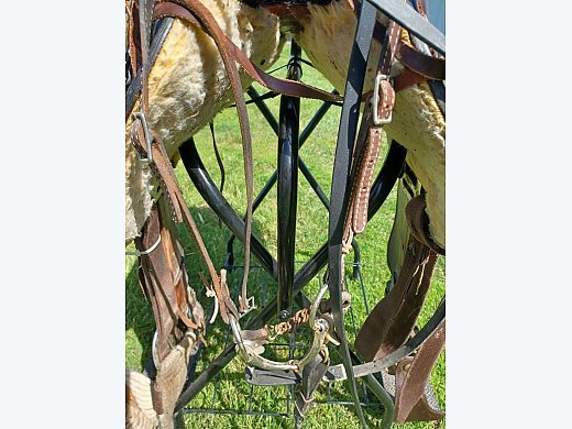 Horses and Tack