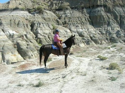 FOR Sale: 2003 AQHA Mare - Optional Breeding Included