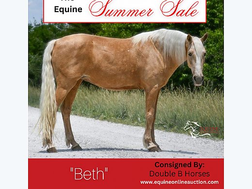 Gentle Family Horse