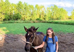 Draft (Percheron, Belgian, Clydesdale, Shire) (Draft (Percheron, Belgian, Clydesdale, Shire), Gelding) in Alto, MI