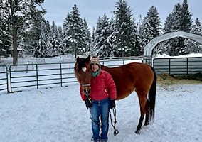 Arabian (Arabian, Mare) in Kellogg, ID