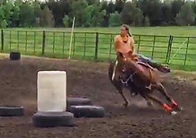 Quarter Horse (Quarter Horse, Gelding) in Brookings, SD