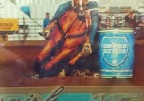 Quarter Horse (Quarter Horse, 31 yrs) in Oxford, OH