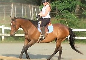 Pushbutton Hunter, Wins In the R... King's Treasure