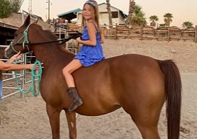 Arabian (Arabian, Mare) in Lake Havasu City, AZ