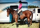 - Mare in Warrenton, NC - Mare in Warrenton, NC