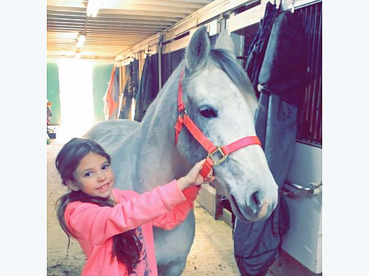 Anastasia- Hunter Pony