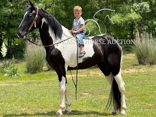 Double Registered TWH