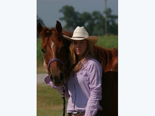 Sweet Quarter Horse, don't Miss out