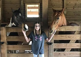 Paso Fino (Paso Fino, Gelding) in Westport, NC