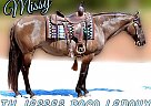 Paint - Horse for Sale in Eatonton, GA 31024