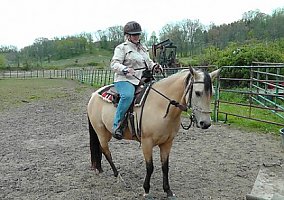 Dandys Lonesum Star Quarter Horse Mare