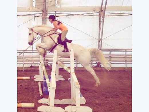 Breathtaking All Around Gelding Kid Safe !!!