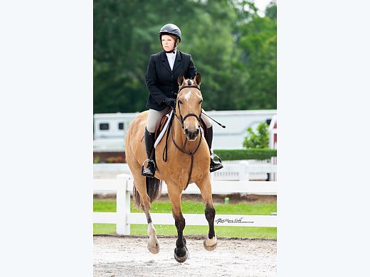 Buck n' Fabulous Horse for Lease