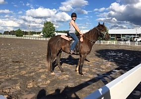 Rocky Mountain (Rocky Mountain, Gelding) in Howard, PA