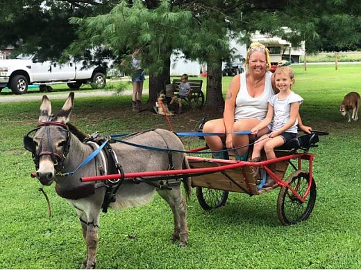 Mini Jack and Cart