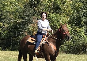 Quarter Horse (Quarter Horse, Mare) in Shelbyville, TN