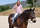 Preacher - Gelding in Tehachapi, CA Preacher - Gelding in Tehachapi, CA