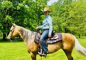 Quarter Horse (Quarter Horse, Mare) in Bath, PA