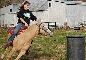 All-Round Pony Mare