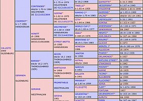 Mare (Warmblood, Mare) in Abilene, KS