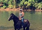 Peytons Path - Stallion in Kathleen, GA