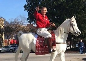 Arabian (Arabian, Gelding) in Aiken, SC
