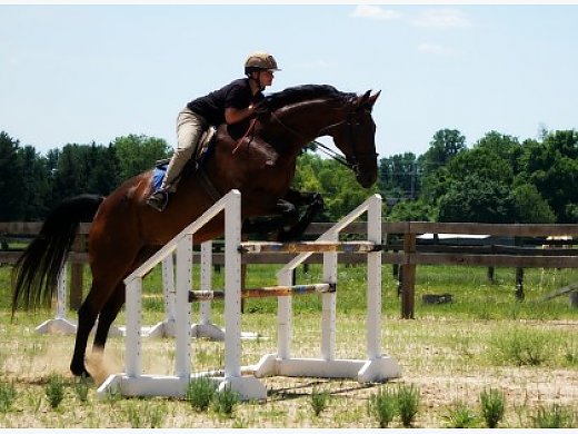 Tall Dark and Handsome ISO Forever Love