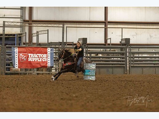 Barrel Horse