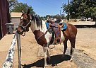 Zeta - Mare in North HighlandsNorth Highlands, CA Zeta - Mare in North HighlandsNorth Highlands, CA
