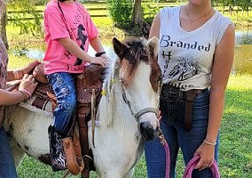 Paint (Paint, Mare) in Englewood, FL