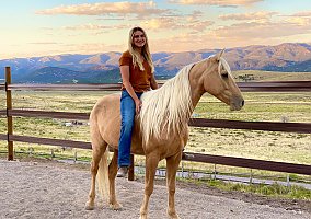 Missouri Fox Trotter (Missouri Fox Trotter, Gelding) in Fairview, UT