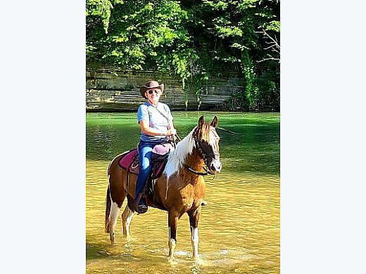 TW – Kentucky Natural Gait