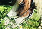 Beautiful Well Broke Amazing Mar... Spirit