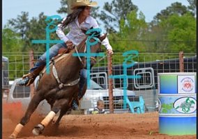 Quarter Horse (Quarter Horse, Mare) in Mesa, AZ