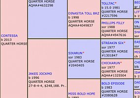 Quarter Horse (Quarter Horse, Mare) in Shelbyville, IN