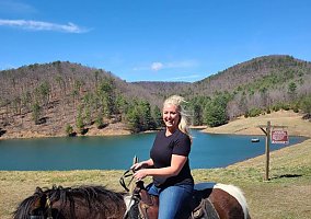 Tennessee Walking (Tennessee Walking, Gelding) in Luray, VA