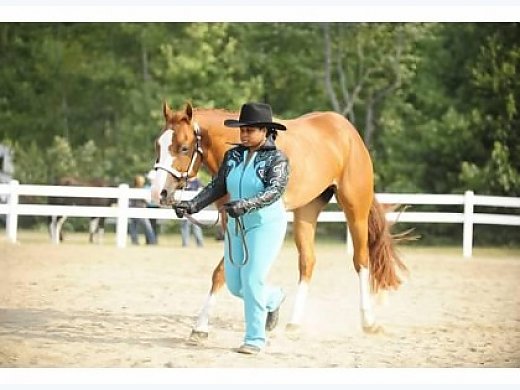 All Around Appaloosa Gelding