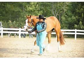 Appaloosa (Appaloosa, Gelding) in Milton, VT