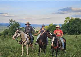 Missouri Fox Trotter (Missouri Fox Trotter, Mare) in Wichita Falls, TX