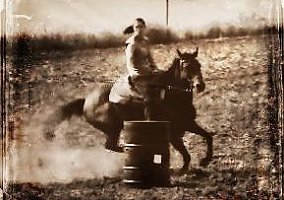 Quarter Horse (Quarter Horse, Gelding) in Piedmont, OK