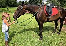 That's George - Gelding in Cream Ridge, NJ That's George - Gelding in Cream Ridge, NJ